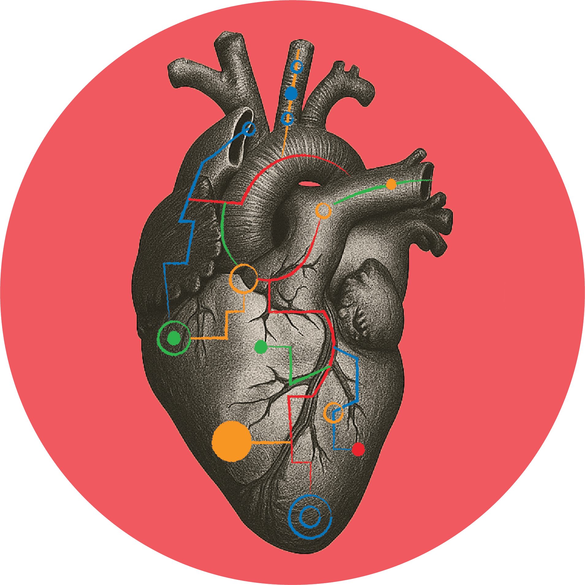 Heart - Compassion and Wellbeing